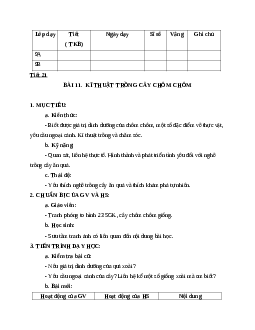 GIÁO ÁN CÔNG NGHỆ 9 BÀI 11.  KĨ THUẬT TRỒNG CÂY CHÔM CHÔM MỚI NHẤT - CV5512
