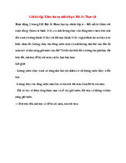 Quan sát hình 34.9, so sánh lượng chảy của dòng nước mưa trên mặt đất ở nơi có rừng