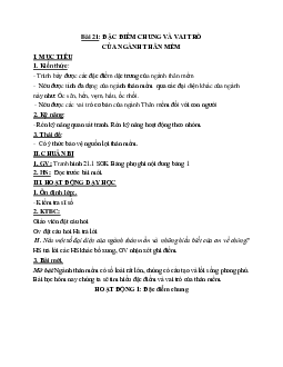 Giáo án Sinh học 7 Bài 21: Đặc điểm chung và vai trò của ngành Thân mềm mới nhất - CV5512