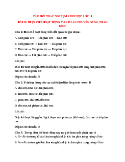 33 câu Trắc nghiệm Sinh học 11 Bài 29 có đáp án 2023: Điện thế hoạt động và sự lan truyền xung thần kinh