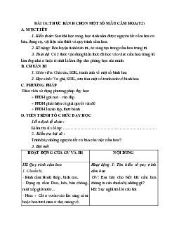 GIÁO ÁN CÔNG NGHỆ 6 BÀI 16: THỰC HÀNH CHỌN MỘT SỐ MẪU CẮM HOA (T2) MỚI NHẤT – CV5512