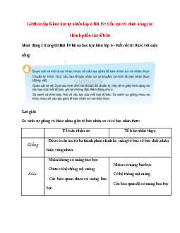 Quan sát và mô tả sự khác nhau về cấu tạo giữa tế bào nhân sơ và nhân thực