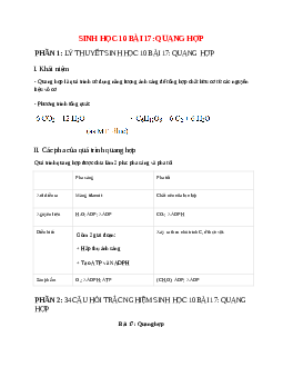 Sinh học 10 Bài 17 (Lý thuyết và trắc nghiệm): Quang hợp