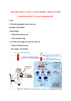 Lý thuyết Sinh học 8 Bài 13 (mới 2023 + 14 câu trắc nghiệm): Máu và môi trường trong cơ thể