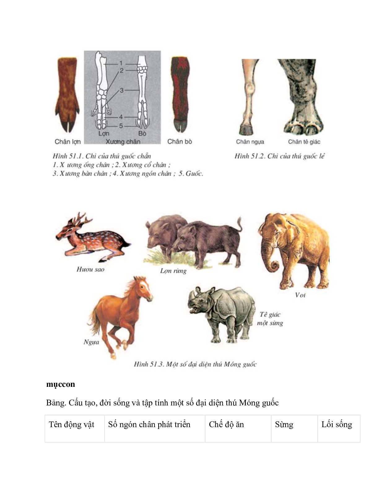 Sinh học 7 Bài 51 (Lý thuyết và trắc nghiệm): Đa dạng của lớp thú các bộ móng guốc và bộ linh trưởng (trang 2)