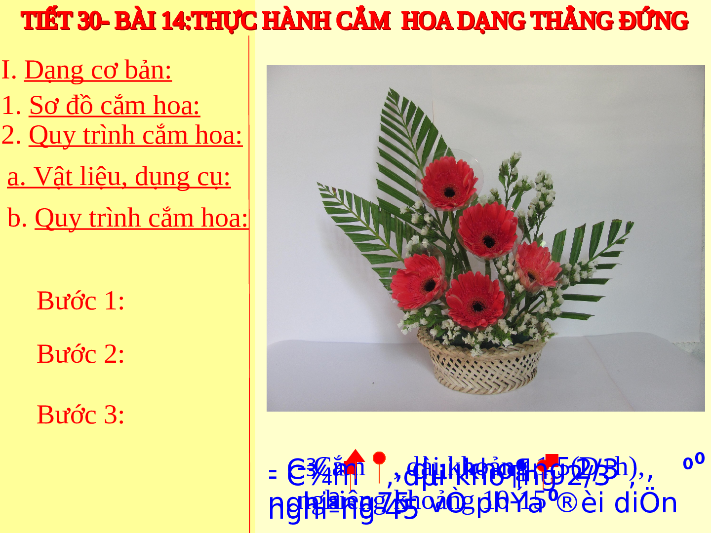 Bài giảng Công nghệ 6 Tiết 30: Thực hành (tự chọn) cắm hoa (trang 10)