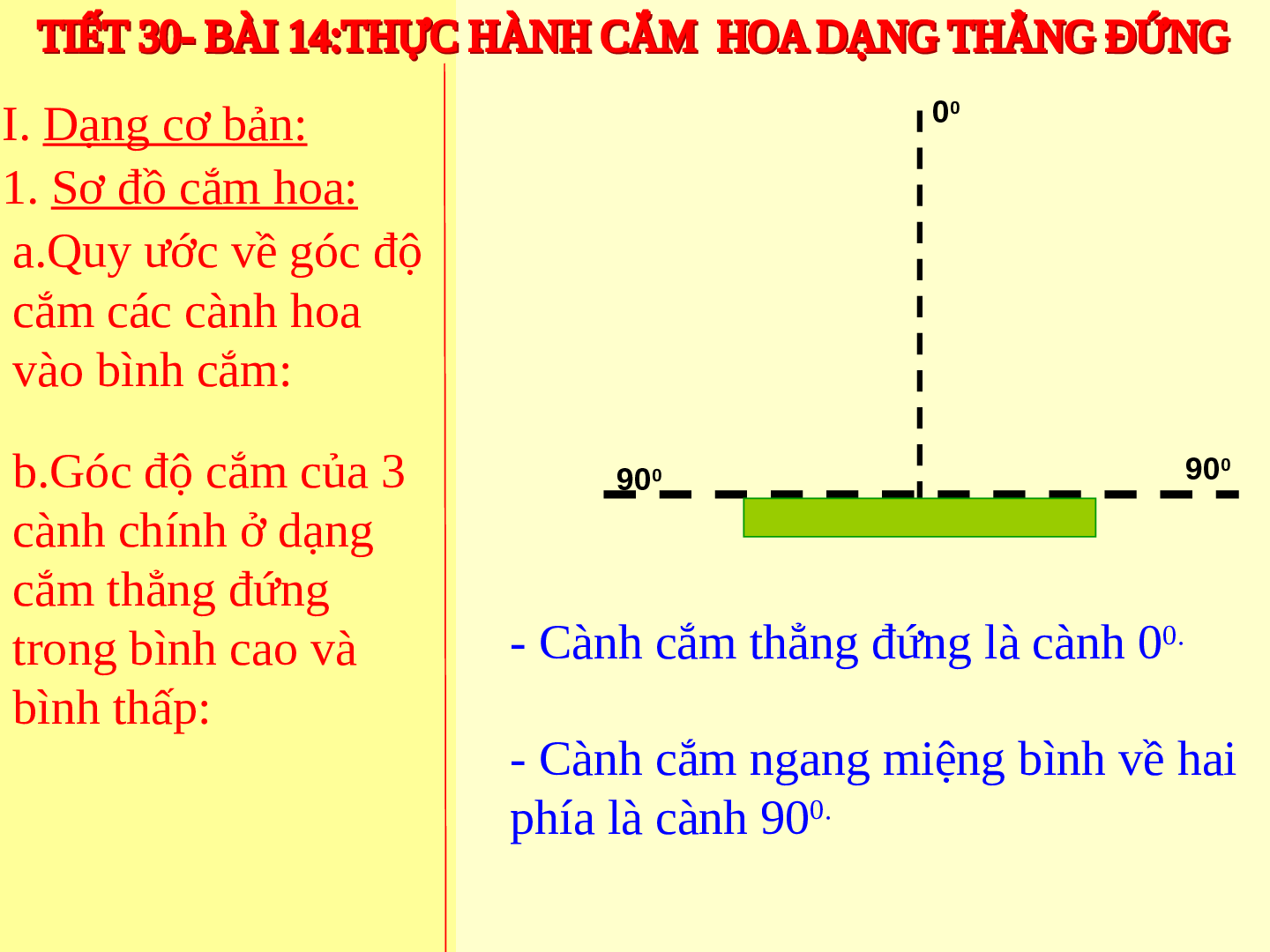 Bài giảng Công nghệ 6 Tiết 30: Thực hành (tự chọn) cắm hoa (trang 5)