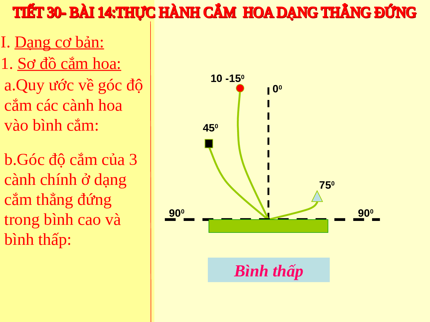 Bài giảng Công nghệ 6 Tiết 30: Thực hành (tự chọn) cắm hoa (trang 6)