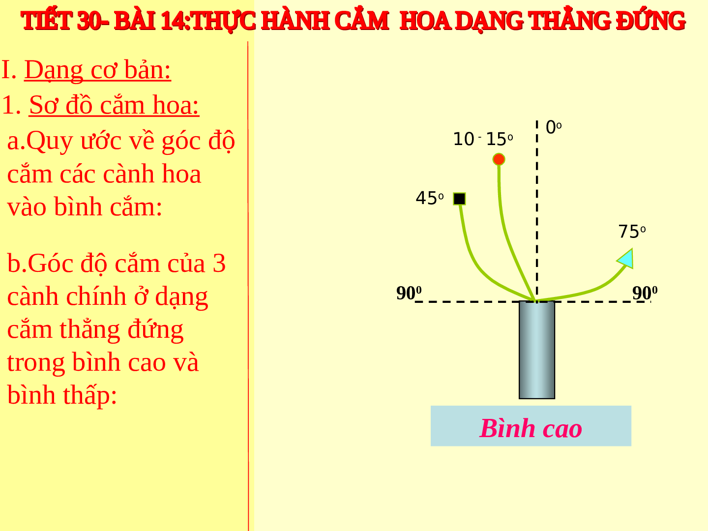 Bài giảng Công nghệ 6 Tiết 30: Thực hành (tự chọn) cắm hoa (trang 8)