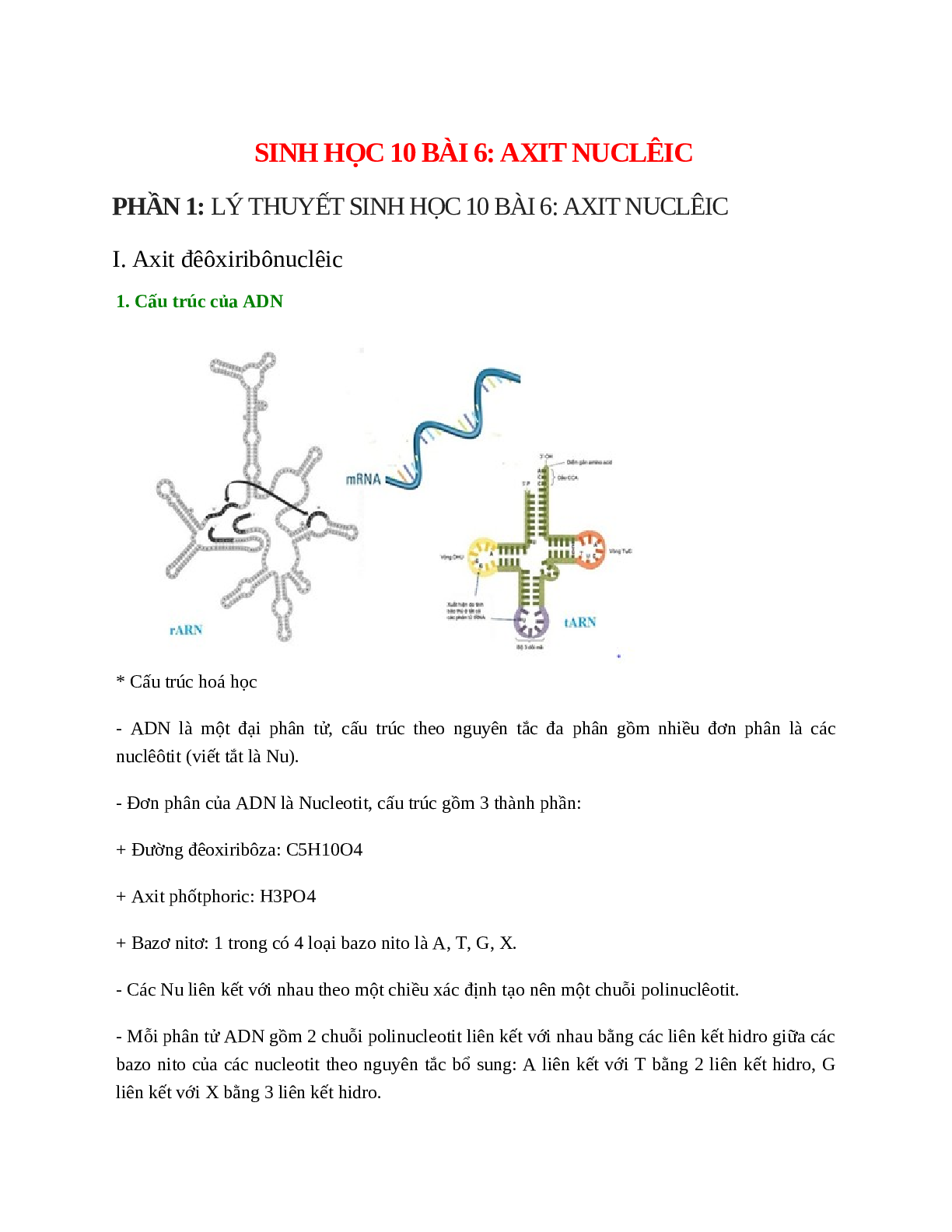 Sinh học 10 Bài 6 (Lý thuyết và trắc nghiệm): Axit nuclêic (trang 1)