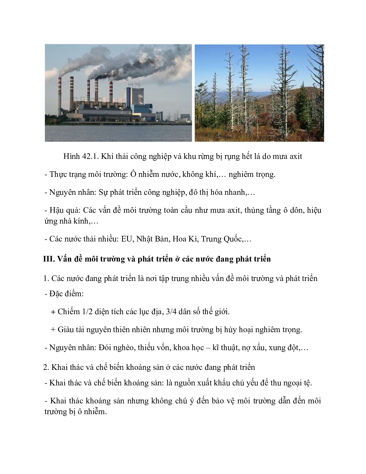 Địa Lí 10 Bài 42 (Lý thuyết và trắc nghiệm): Môi trường và sự phát triển bền vững (trang 2)