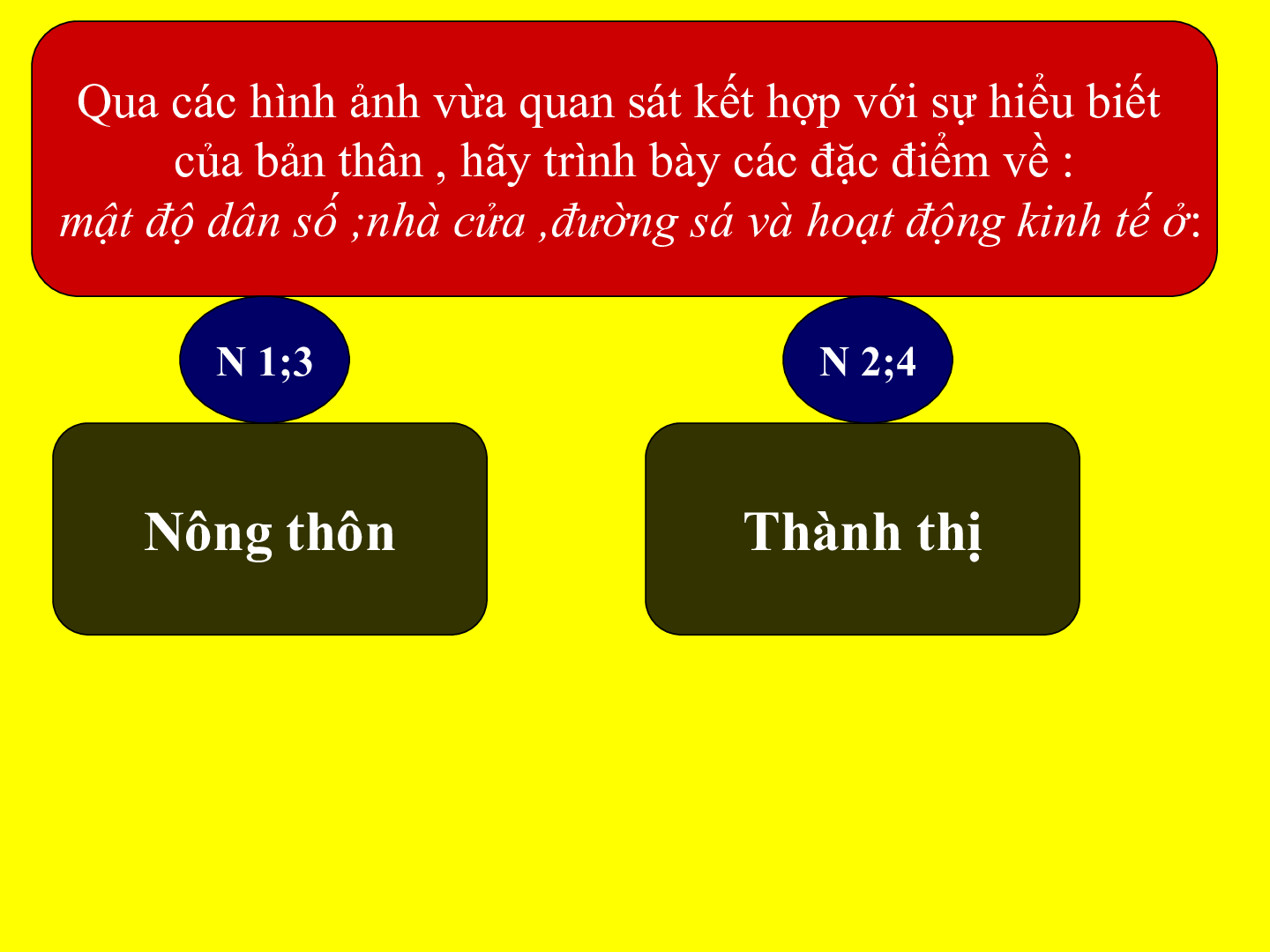 Bài giảng Địa lí 7 Tiết 3: Quần cư và đô thị hóa (trang 7)