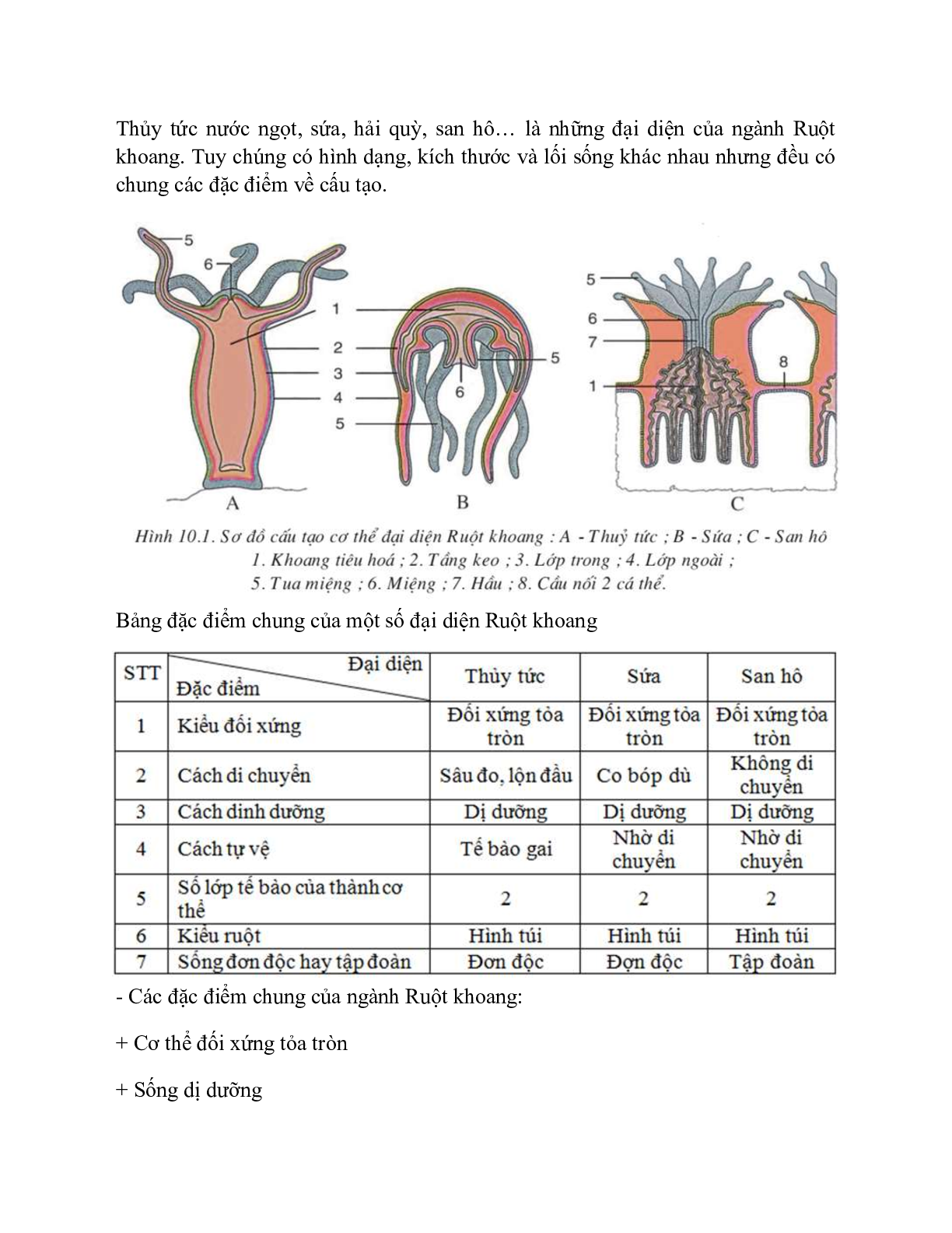 Sinh học 7 Bài 10 (Lý thuyết và trắc nghiệm): Đặc điểm chung và vai trò của ngành Ruột khoang (trang 2)