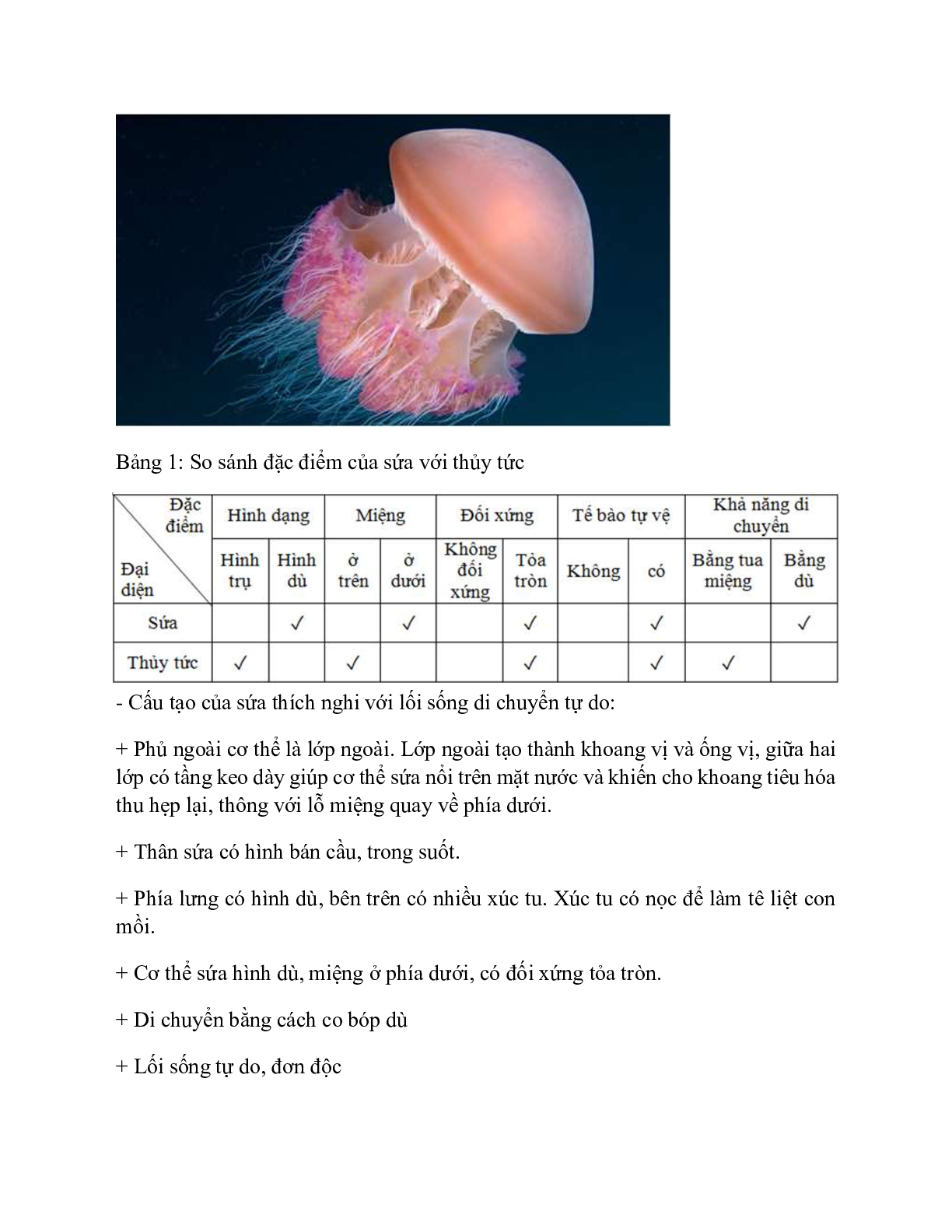 Sinh học 7 Bài 9 (Lý thuyết và trắc nghiệm): Đa dạng của ngành Ruột khoang (trang 2)