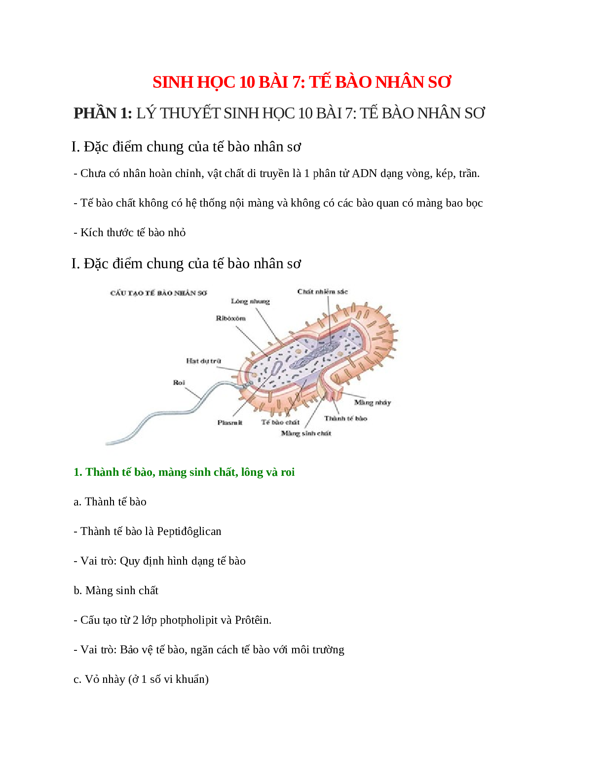 Sinh học 10 Bài 7 (Lý thuyết và trắc nghiệm): Tế bào nhân sơ (trang 1)