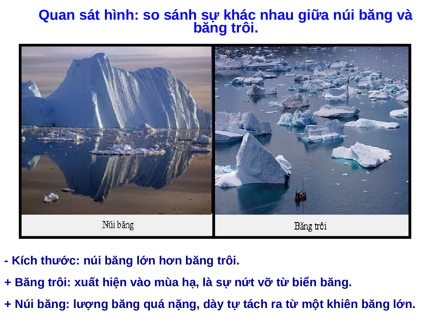 Bài giảng Địa lí 7 Tiết 22: Môi trường đới lạnh (trang 7)