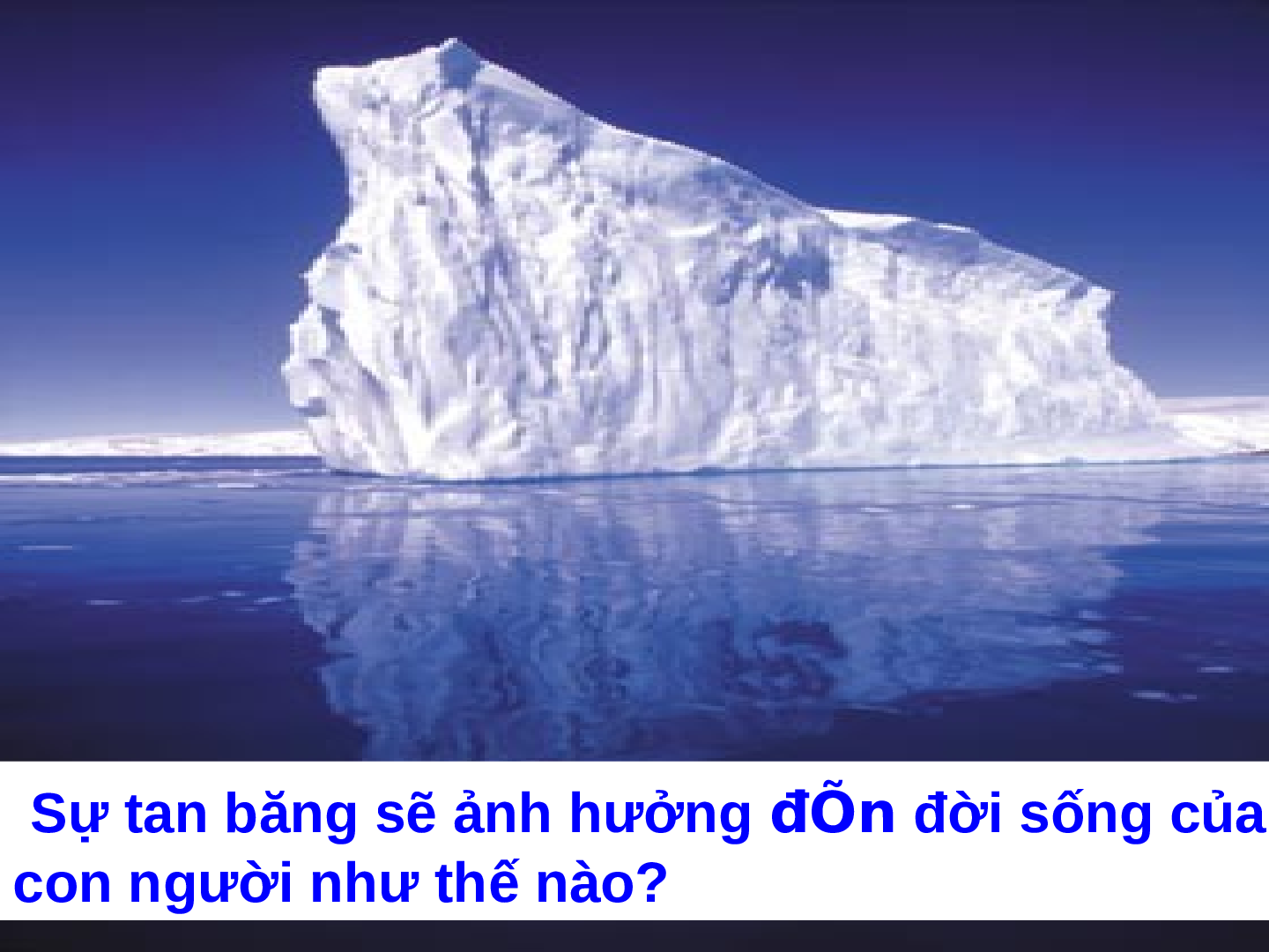 Bài giảng Địa lí 7 Tiết 22: Môi trường đới lạnh (trang 8)