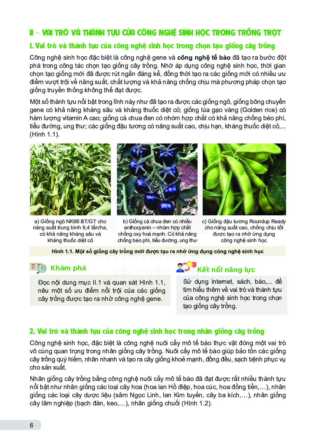 Chuyên đề học tập Công nghệ lớp 10 Công nghệ trồng trọt Kết nối tri thức pdf (trang 7)