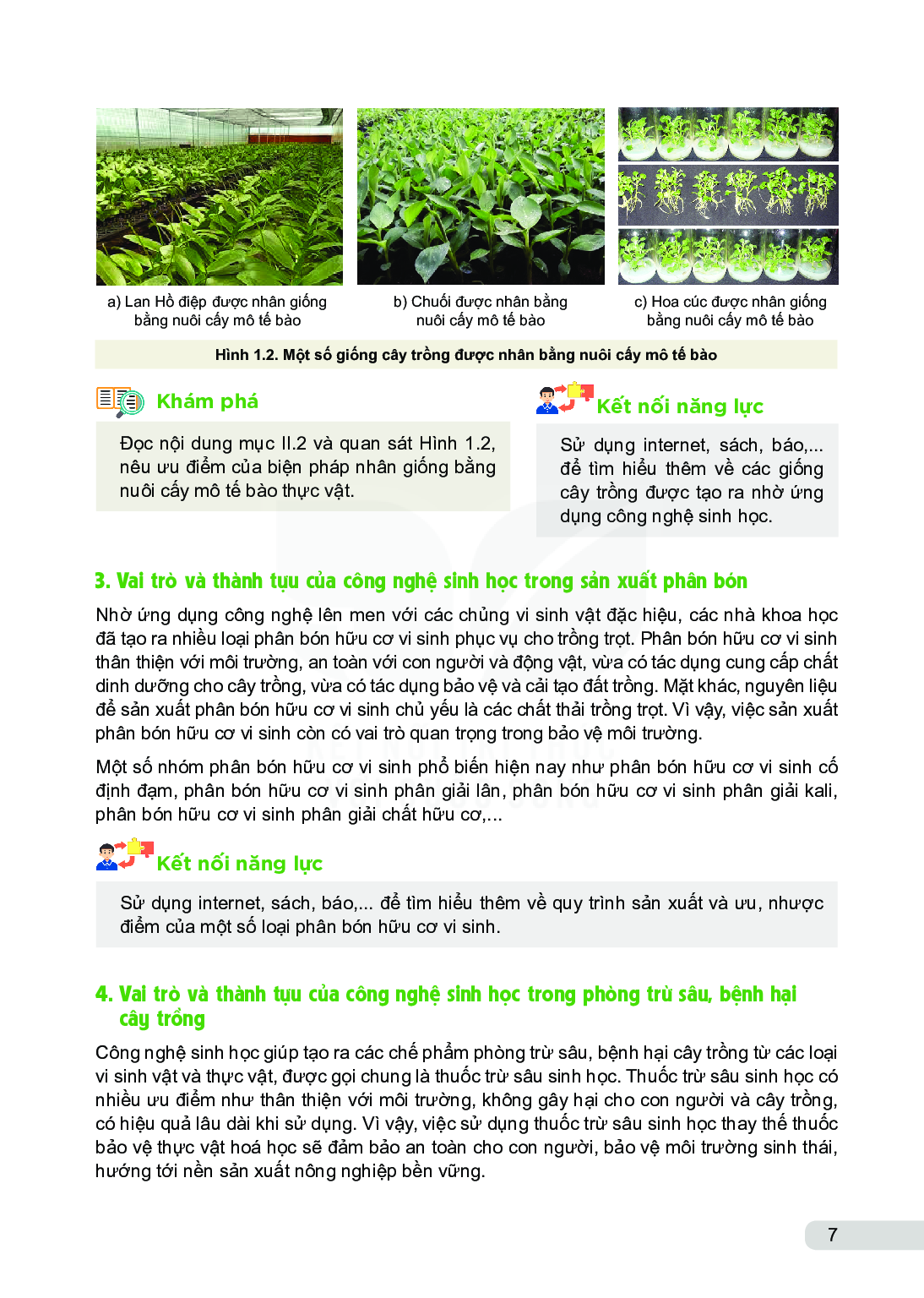 Chuyên đề học tập Công nghệ lớp 10 Công nghệ trồng trọt Kết nối tri thức pdf (trang 8)