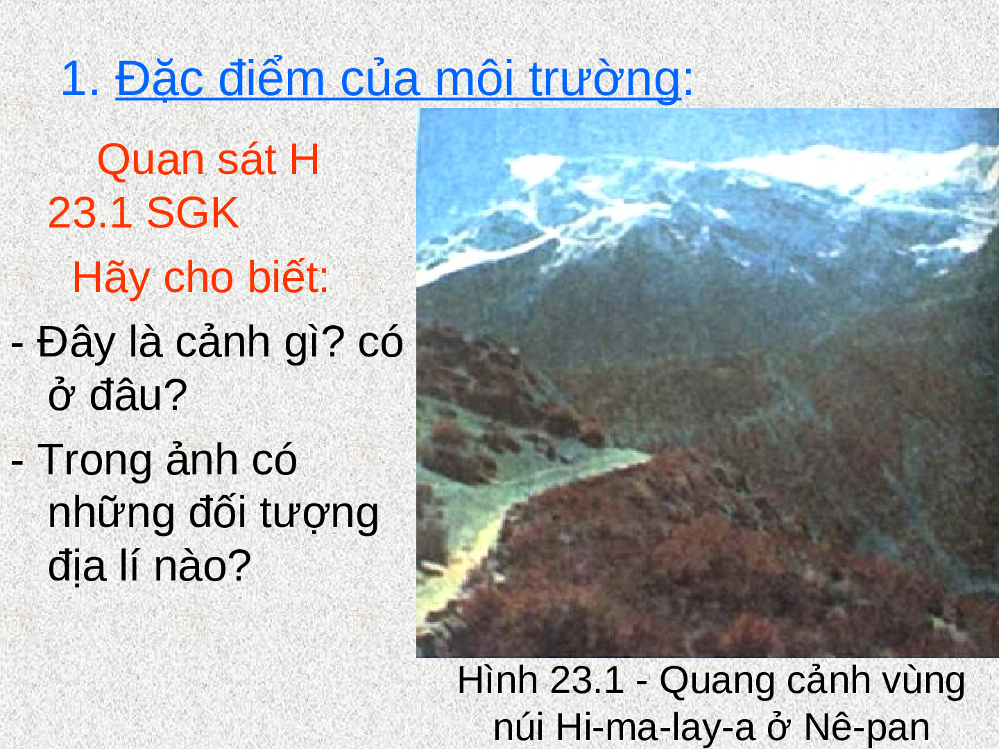Bài giảng Địa lí 7 Tiết 24: Môi trường vùng núi (trang 2)