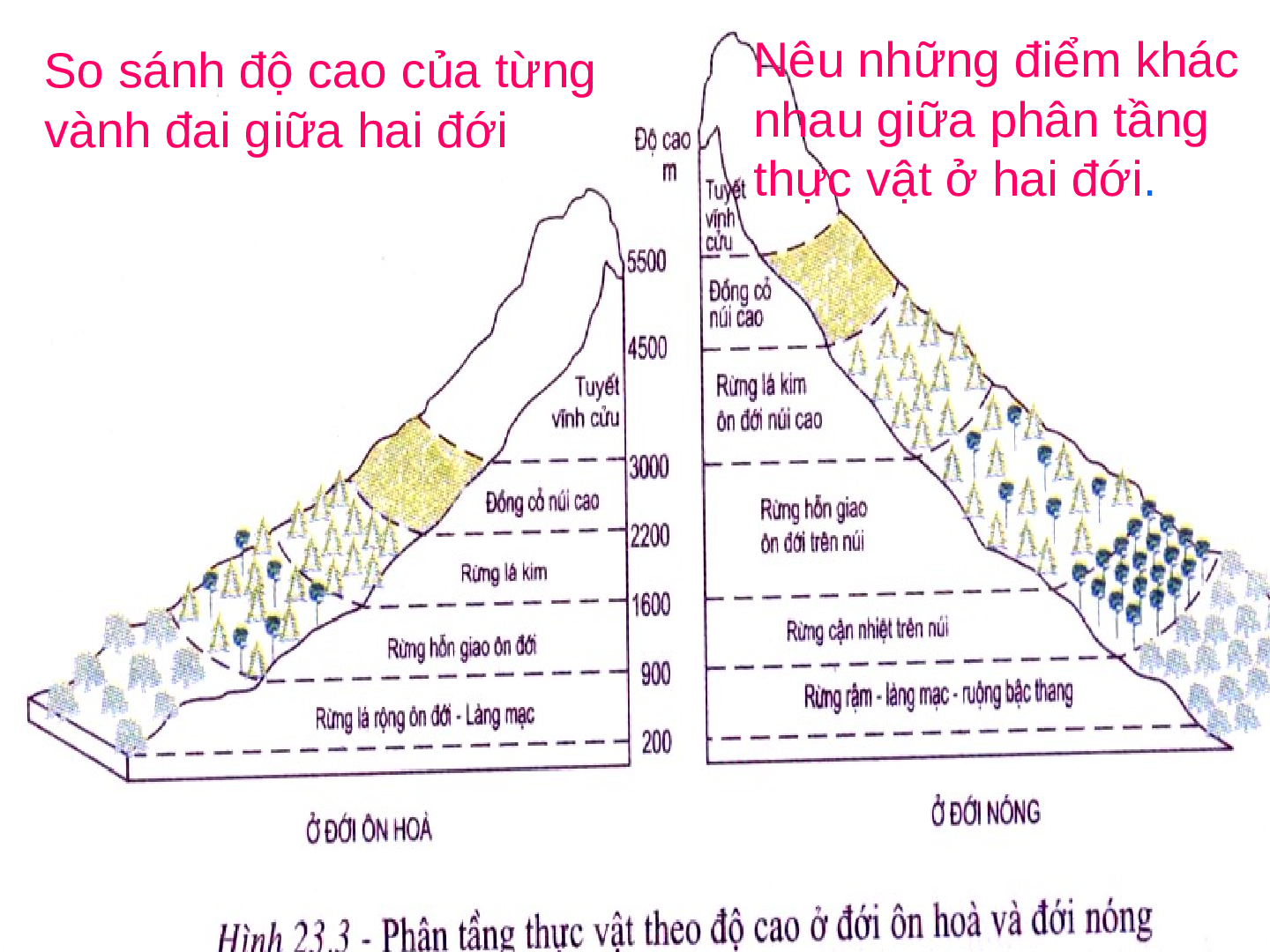 Bài giảng Địa lí 7 Tiết 24: Môi trường vùng núi (trang 9)