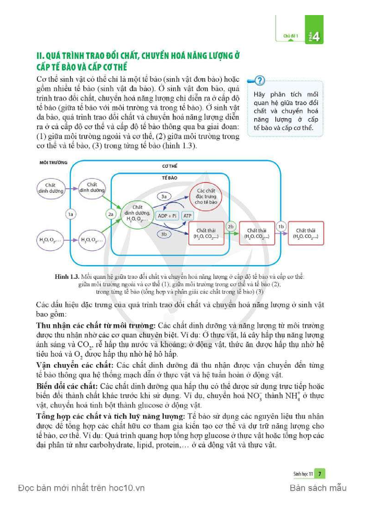 Sinh học lớp 11 Cánh diều pdf (trang 8)