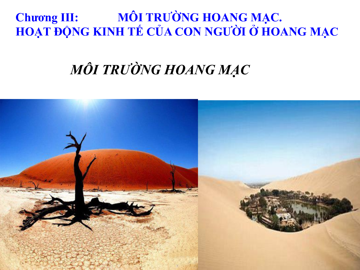 Bài giảng Địa lí 7 Tiết 20: Môi trường hoang mạc (trang 2)
