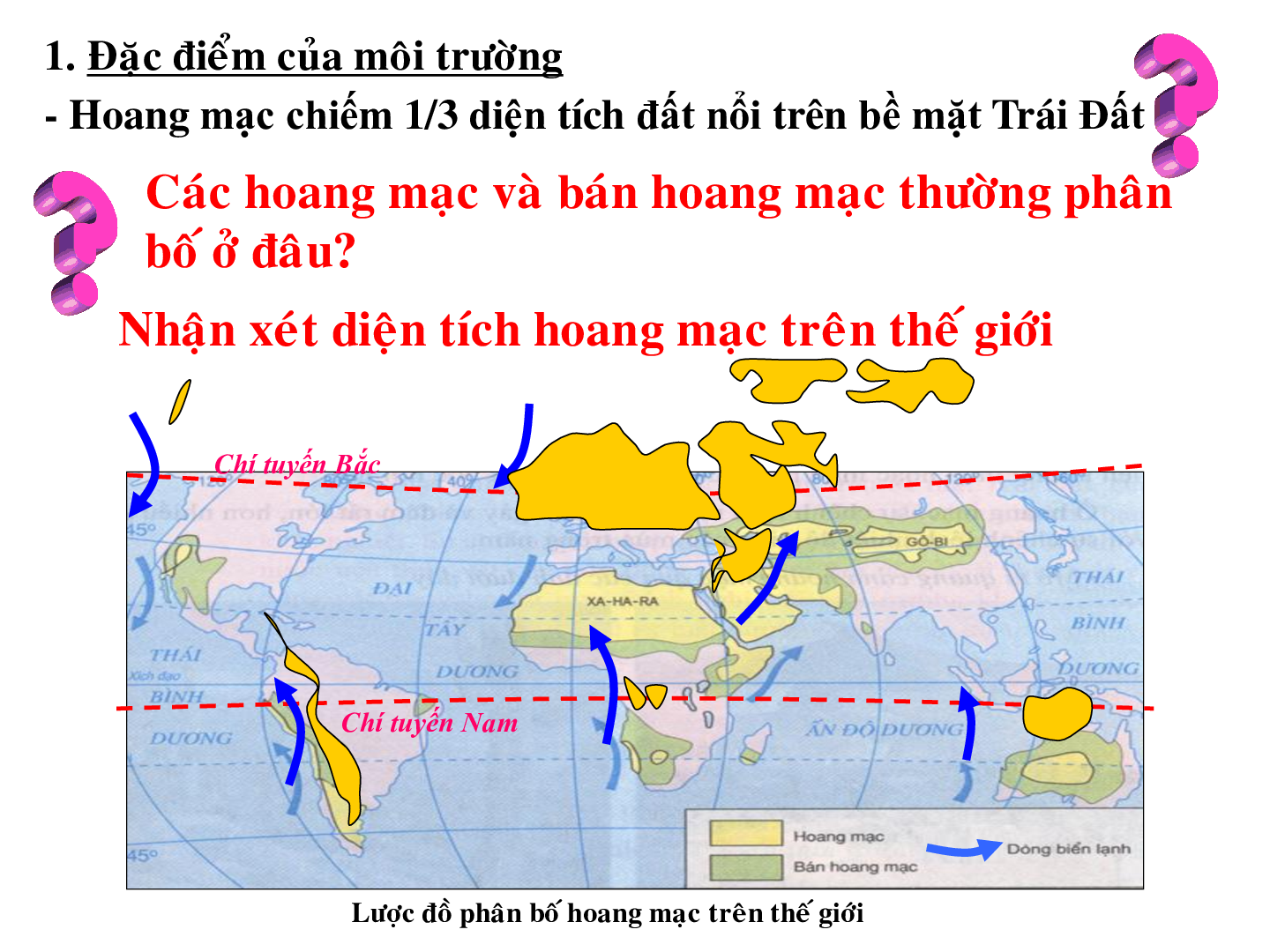 Bài giảng Địa lí 7 Tiết 20: Môi trường hoang mạc (trang 3)