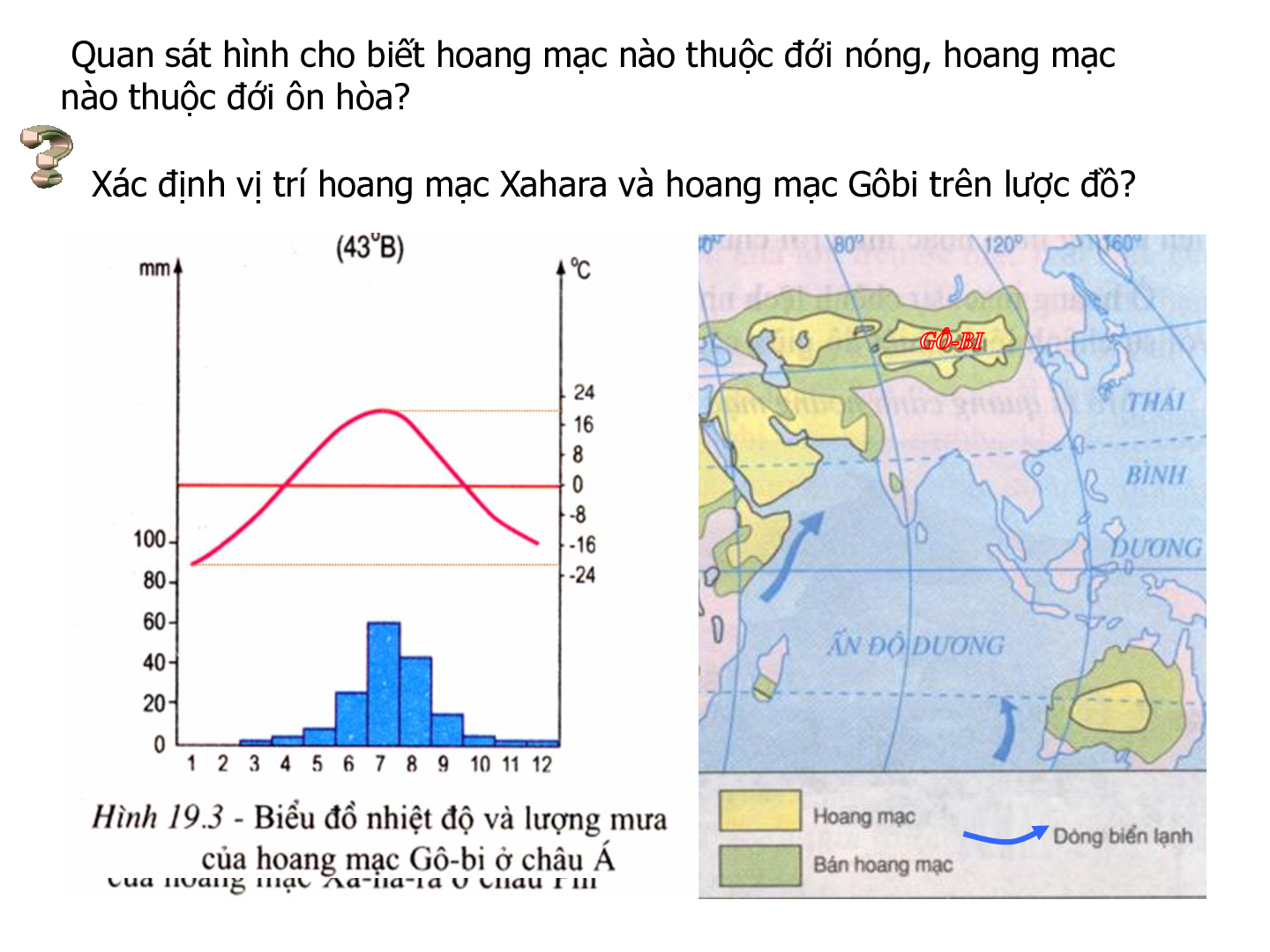 Bài giảng Địa lí 7 Tiết 20: Môi trường hoang mạc (trang 7)