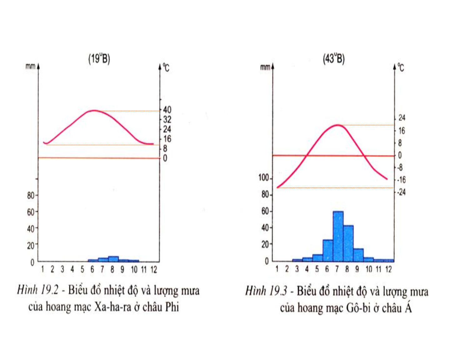 Bài giảng Địa lí 7 Tiết 20: Môi trường hoang mạc (trang 8)