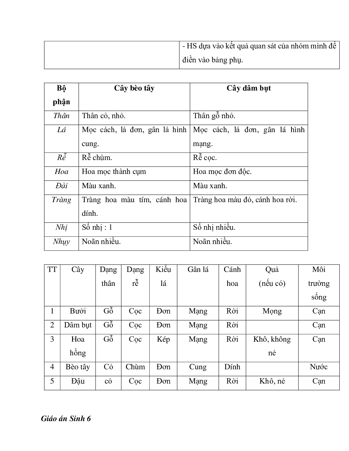 Giáo án Sinh học 6 Bài 41: Hạt kín - Đặc điểm của thực vật Hạt kín mới nhất - CV5512 (trang 2)