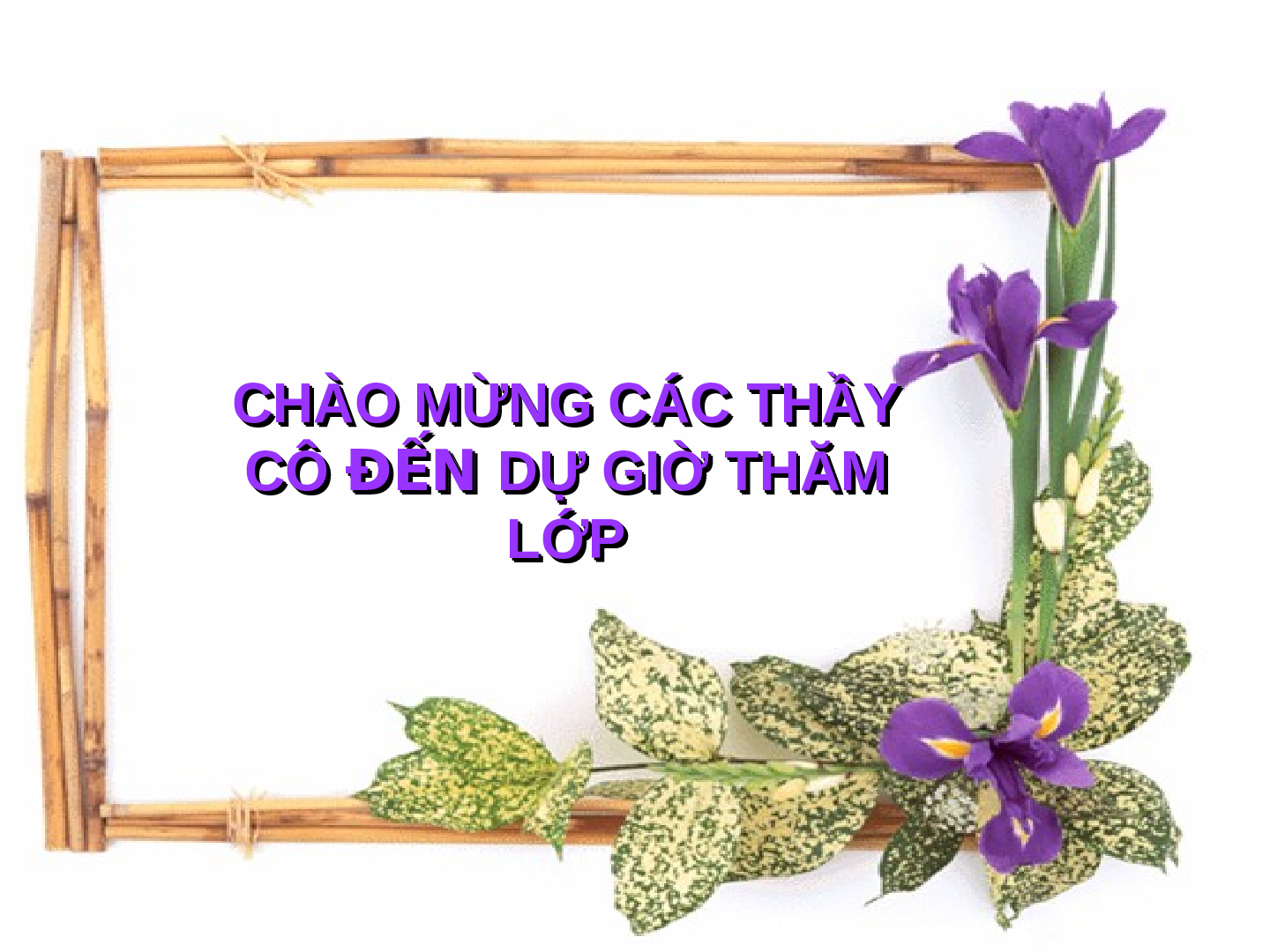 Giáo án Địa lí 7 Bài 36: Thiên nhiên Bắc Mĩ (trang 1)