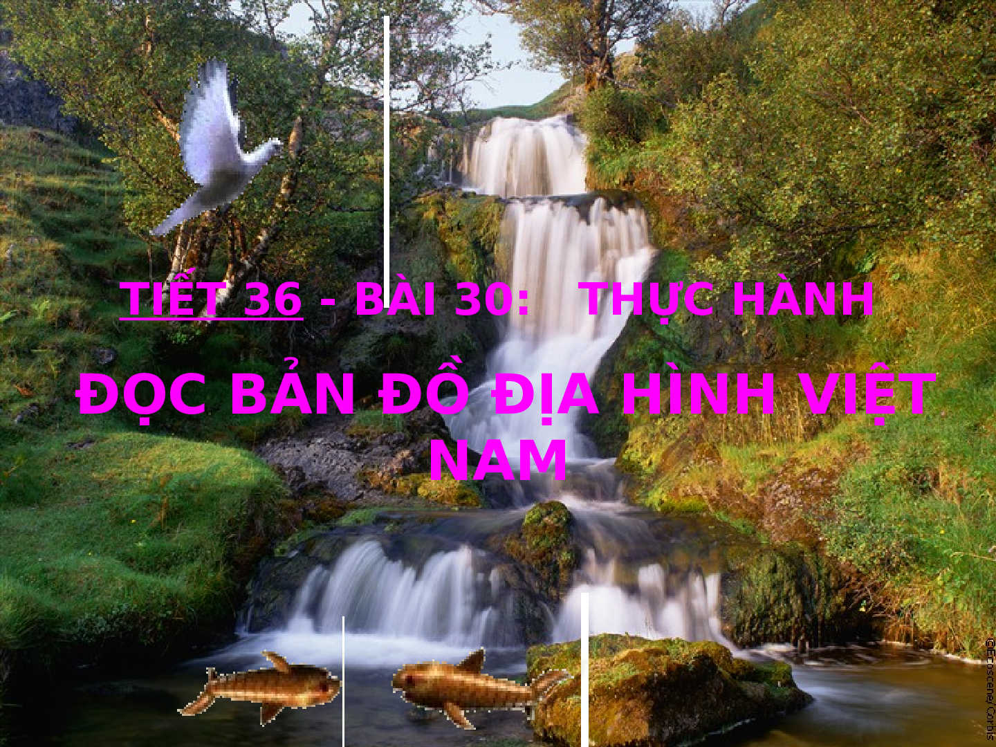 Giáo án Địa lí 8 Bài 30 Thực hành: Đọc bản đồ Việt Nam ( Tiết 2 ) (trang 3)