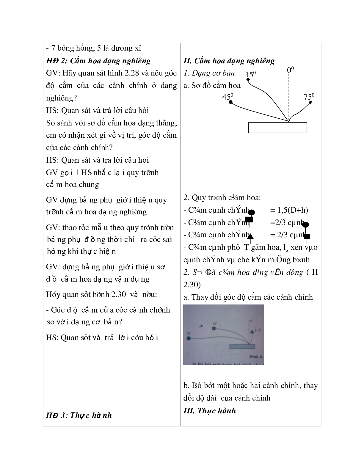 GIÁO ÁN CÔNG NGHỆ 6 BÀI 18: THỰC HÀNH TỰ CHỌN: CẮM HOA TRANG TRÍ (T1) MỚI NHẤT – CV5512 (trang 2)