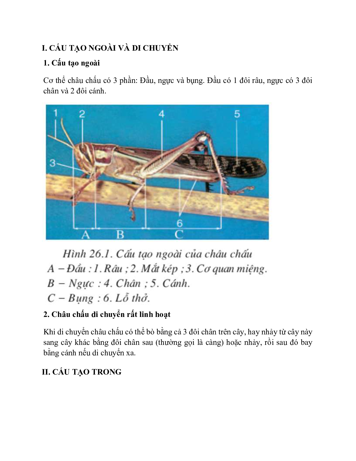 Sinh học 7 Bài 26 (Lý thuyết và trắc nghiệm): Châu chấu (trang 2)