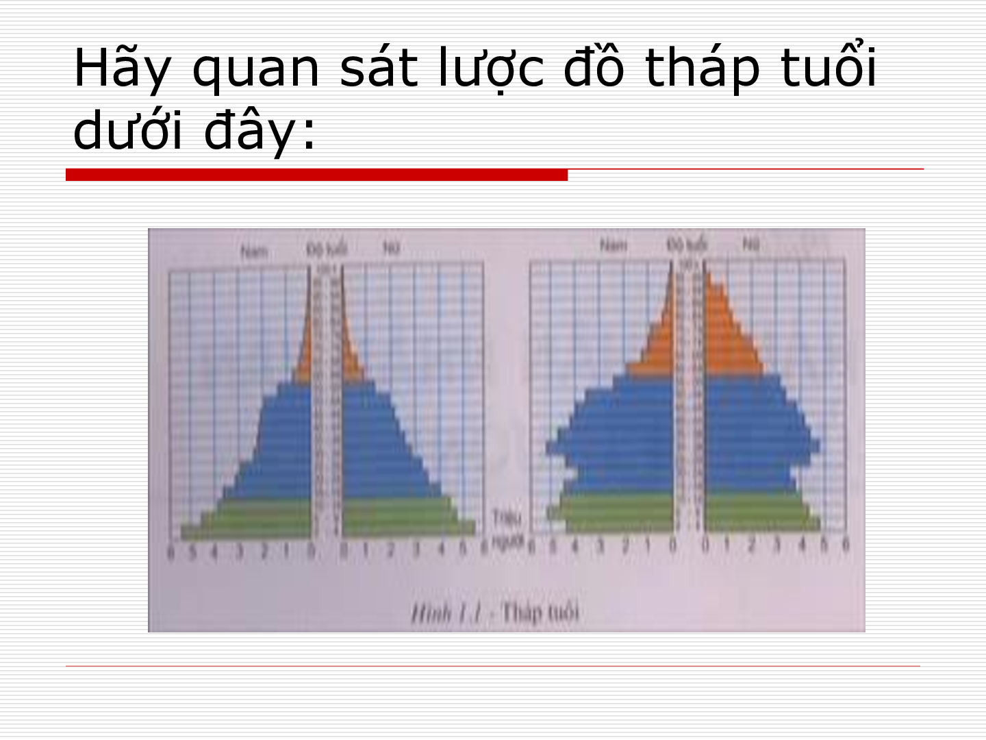 Bài giảng Địa lí 7 tiết 1: Dân số (trang 3)