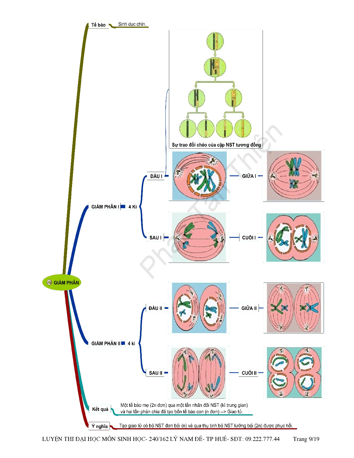 Sơ đồ tư duy môn sinh lớp 12 (trang 9)