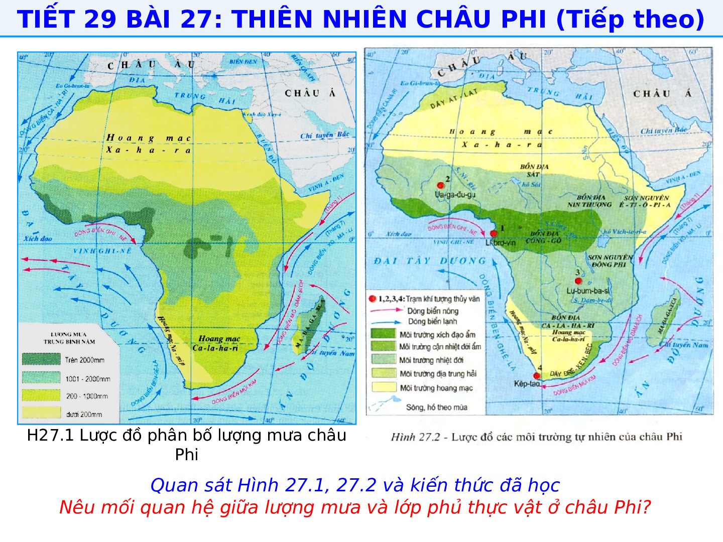 Giáo án Địa lí 7 Bài 27: Thiên nhiên Châu Phi (trang 8)