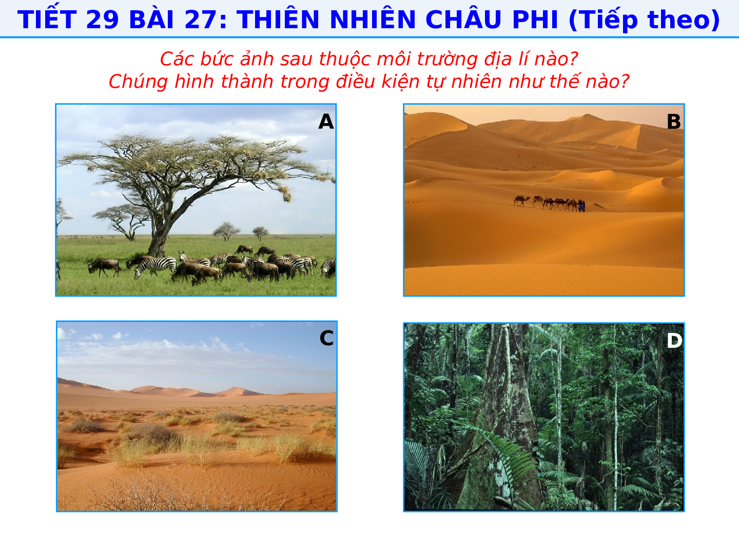 Giáo án Địa lí 7 Bài 27: Thiên nhiên Châu Phi (trang 9)