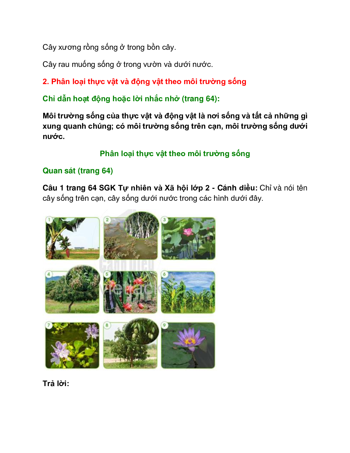 Giải SGK Tự nhiên và Xã hội lớp 2 trang 62, 63, 64, 65, 66, 67 Bài 11: Môi trường sống của thực vật và động vật – Cánh diều (trang 5)