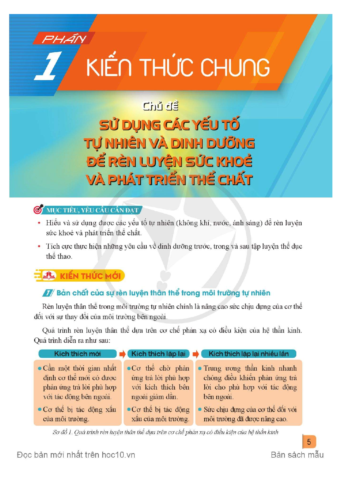 Giáo dục thể chất lớp 11 Cầu lông Cánh diều pdf (trang 6)