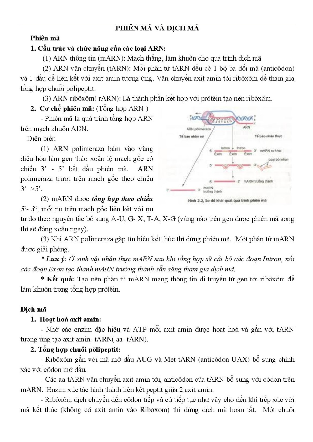 Tổng hợp toàn bộ Lý thuyết Sinh học lớp 12 (trang 4)
