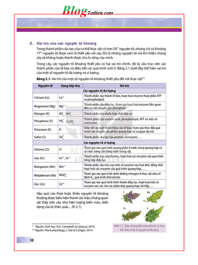 Sinh học lớp 11 Kết nối tri thức pdf (trang 10)