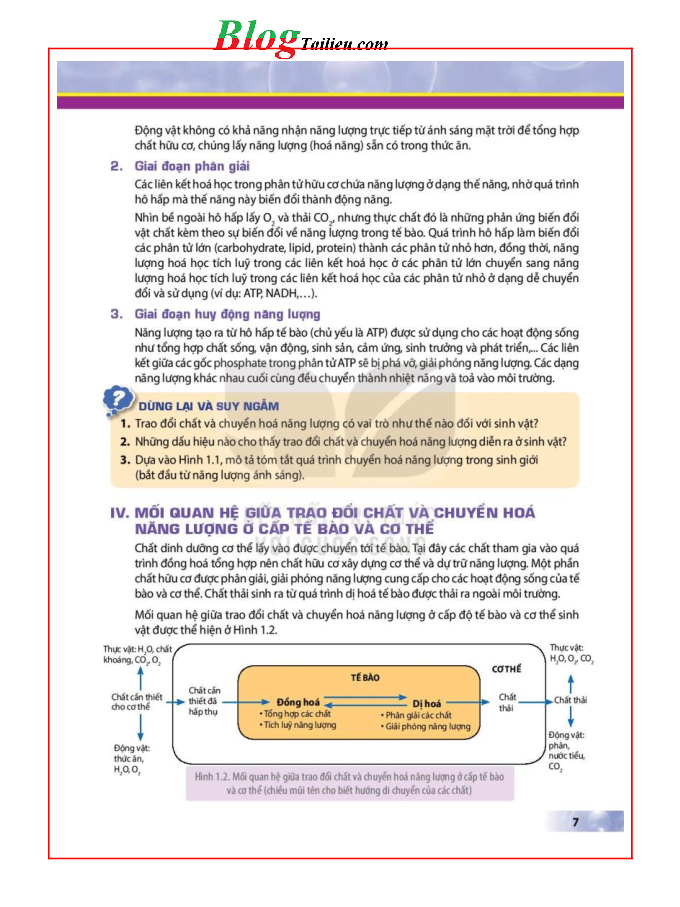 Sinh học lớp 11 Kết nối tri thức pdf (trang 7)