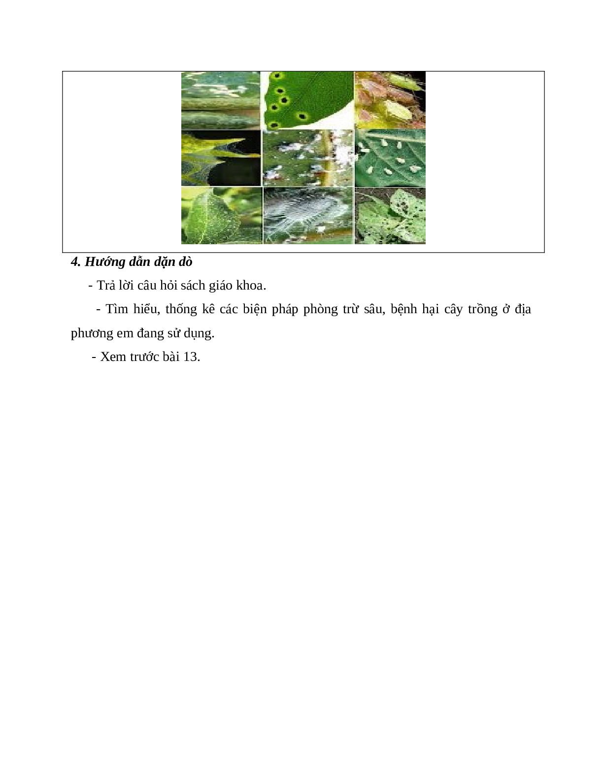 Giáo án Công Nghệ 7 Bài 12: Sâu bệnh hại cây trồng mới nhất - CV5512 (trang 10)