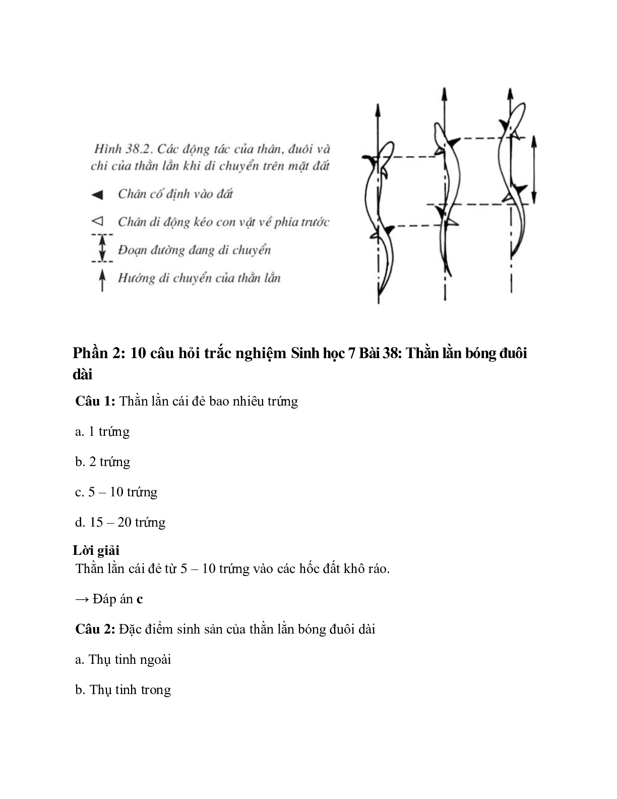 Sinh học 7 Bài 38 (Lý thuyết và trắc nghiệm): Thằn lằn bóng đuôi dài (trang 6)