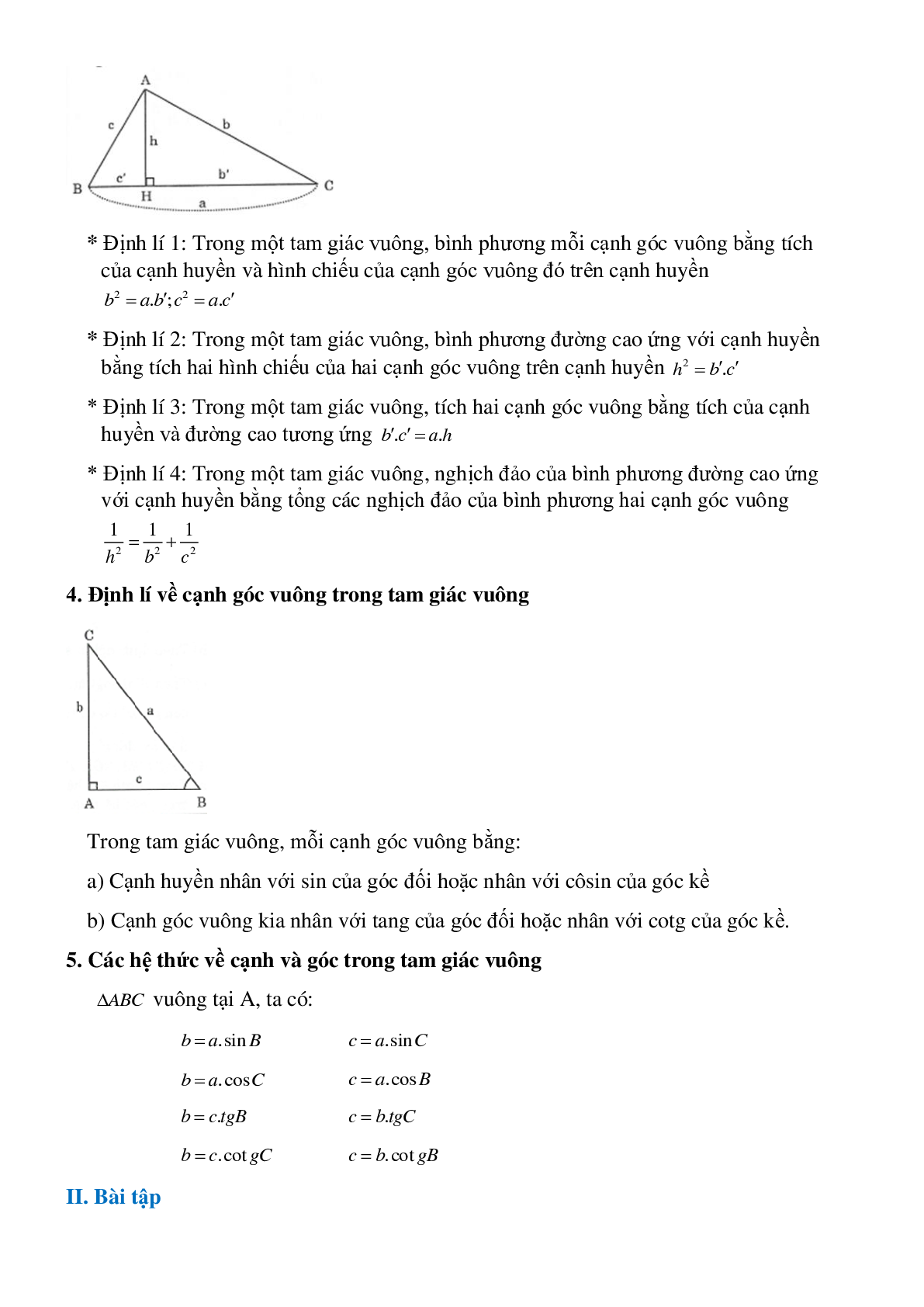 Bài tập ôn tập chương I hình học 9 chọn lọc, có đáp án (trang 2)