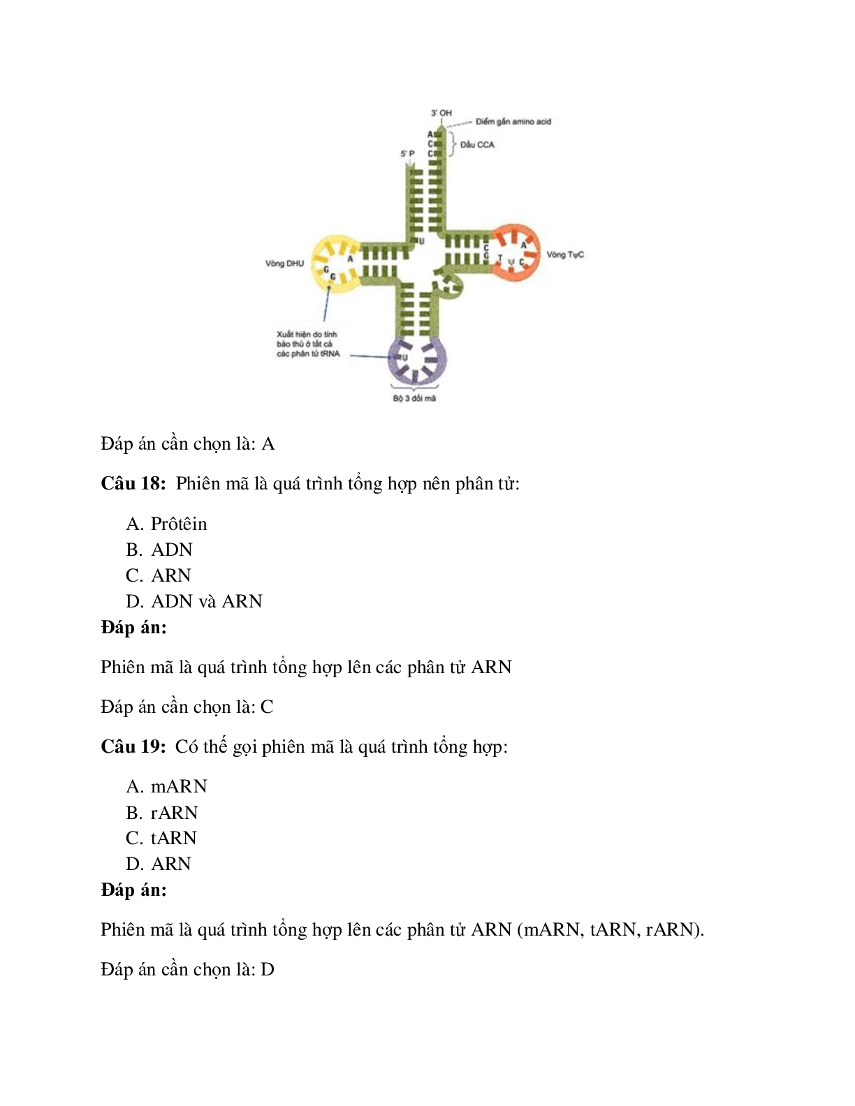 50 câu Trắc nghiệm Sinh học lớp 12 Bài 2 có đáp án 2023: ARN và quá trình phiên mã (trang 7)