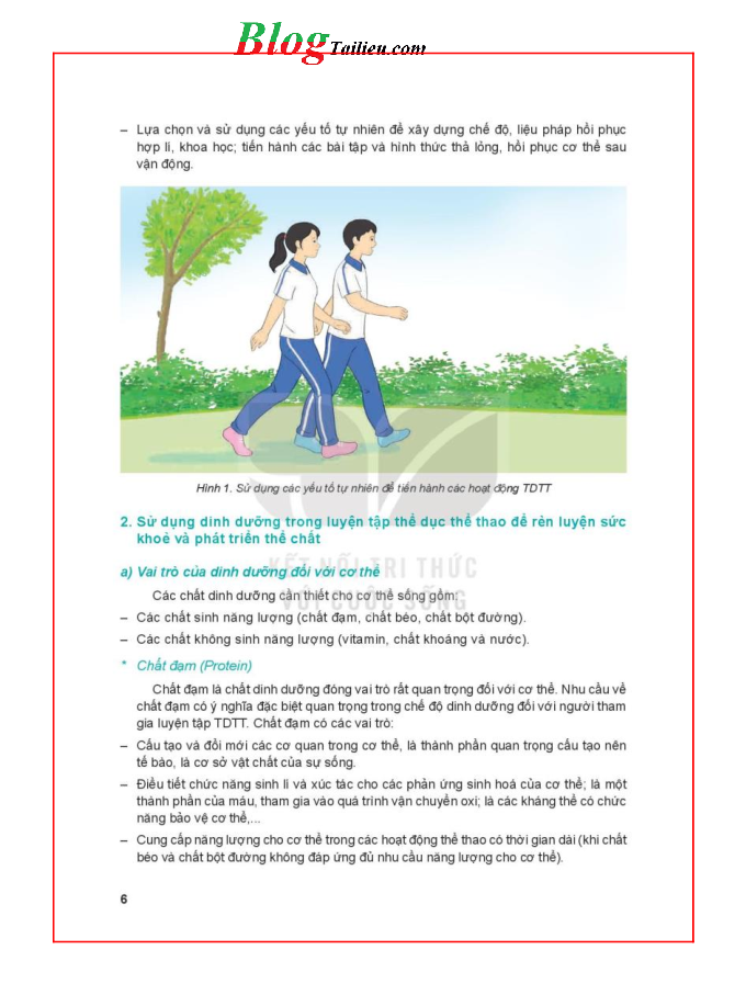 Giáo dục thể chất lớp 11 Cầu lông Kết nối tri thức pdf (trang 6)