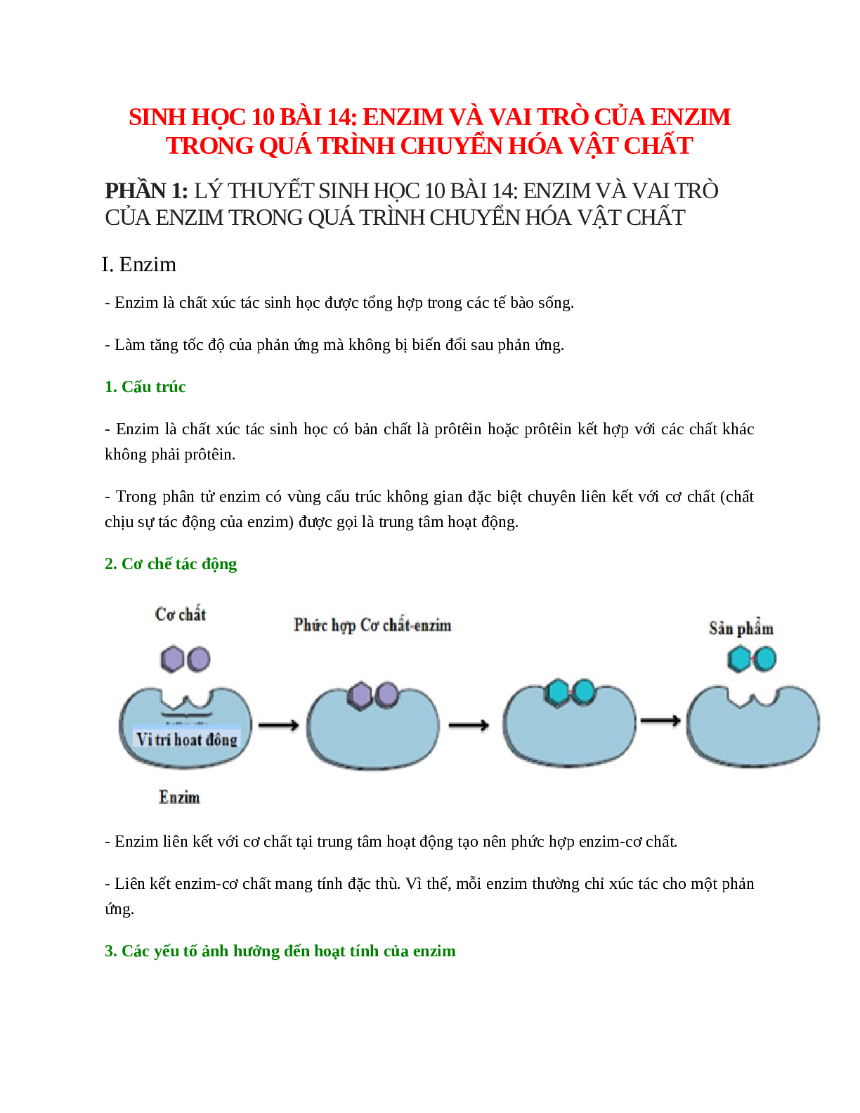 Sinh học 10 Bài 14 (Lý thuyết và trắc nghiệm): Enzim và vai trò của enzim trong quá trình chuyển hóa vật chất (trang 1)